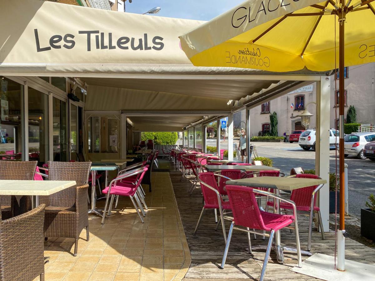 Hotel Les Tilleuls De Pareloup A Salles-Curan Luaran gambar