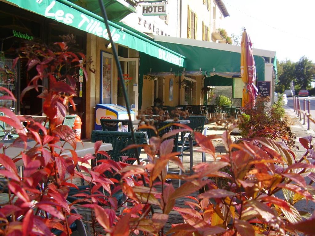 Hotel Les Tilleuls De Pareloup A Salles-Curan Luaran gambar